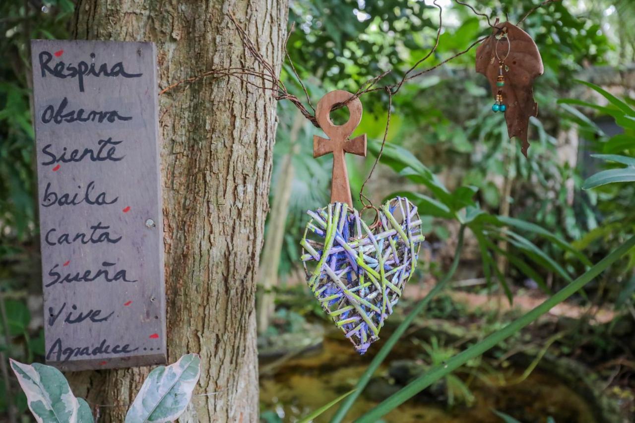קנקון Guest House La Aldea Holistic Experience מראה חיצוני תמונה