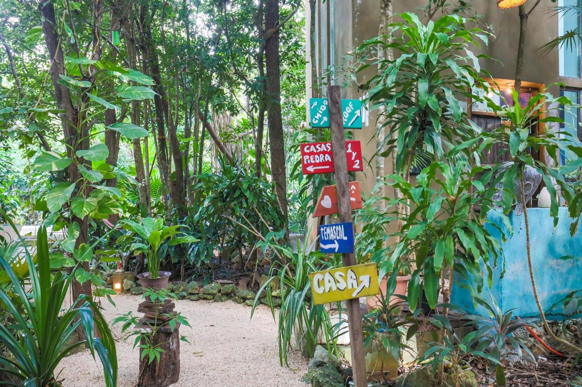 קנקון Guest House La Aldea Holistic Experience מראה חיצוני תמונה