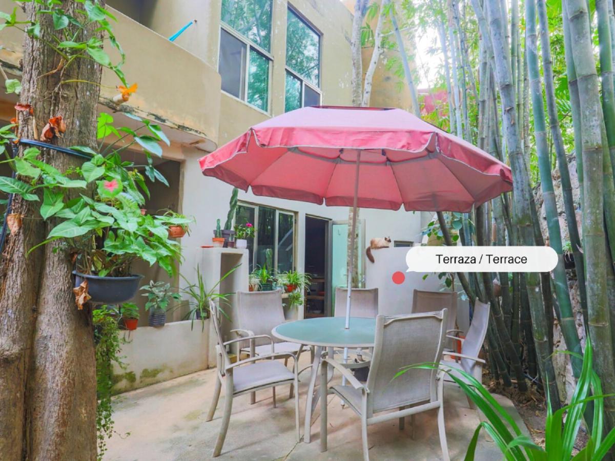 קנקון Guest House La Aldea Holistic Experience מראה חיצוני תמונה