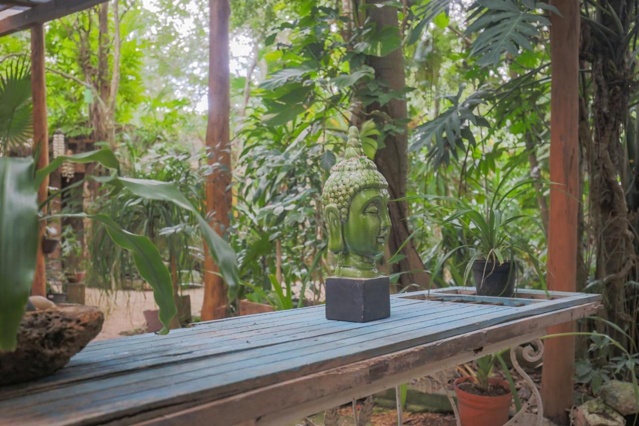 קנקון Guest House La Aldea Holistic Experience מראה חיצוני תמונה