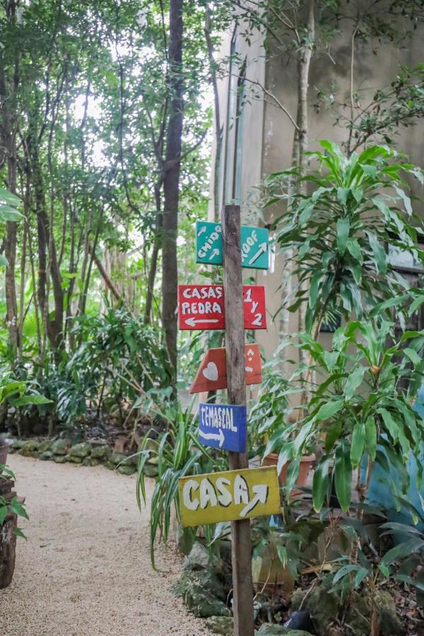 קנקון Guest House La Aldea Holistic Experience מראה חיצוני תמונה