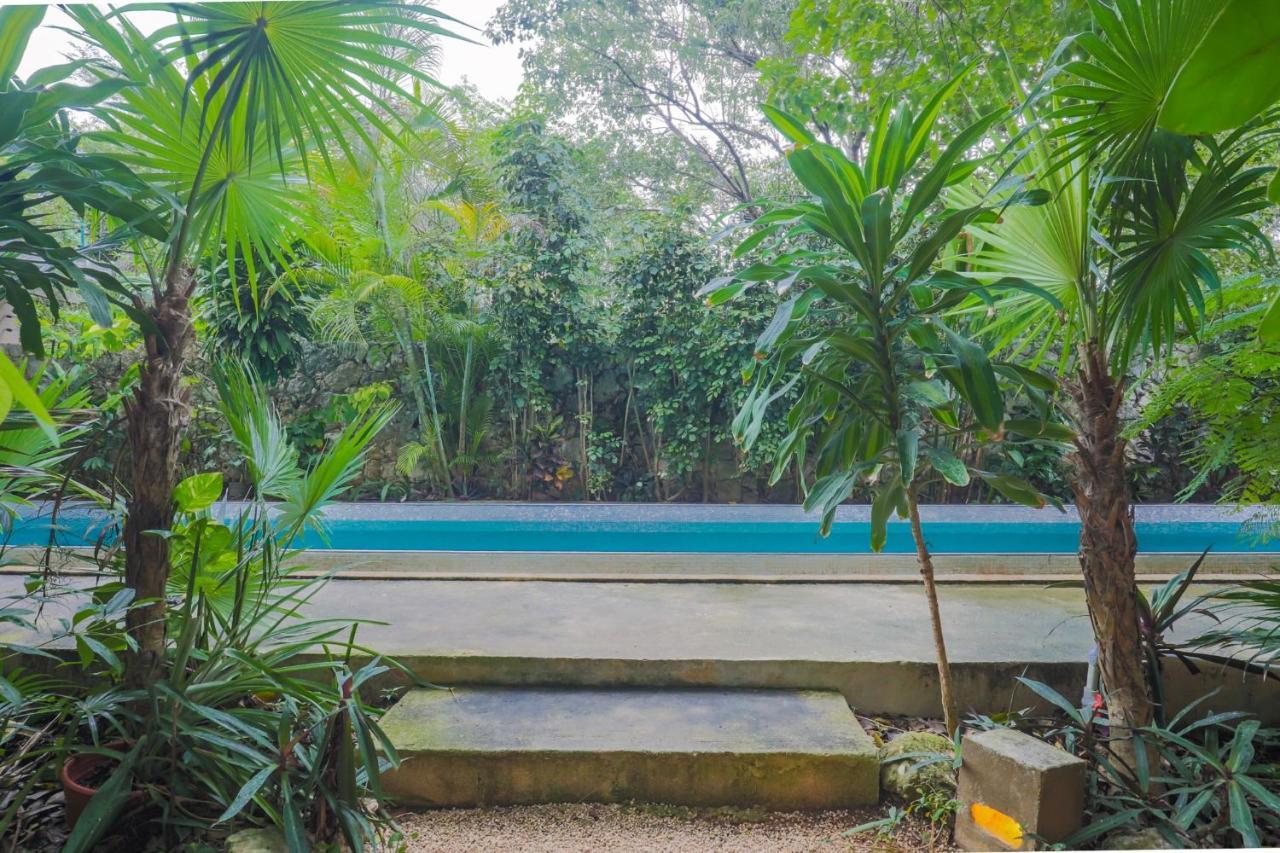 קנקון Guest House La Aldea Holistic Experience מראה חיצוני תמונה