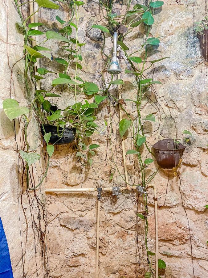 קנקון Guest House La Aldea Holistic Experience מראה חיצוני תמונה